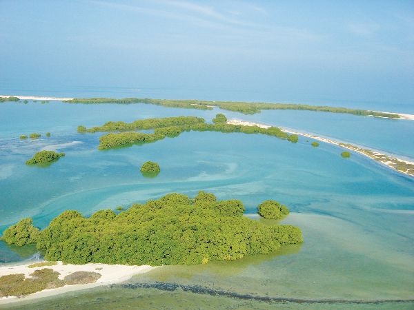 UAE's Visionary Global Leap