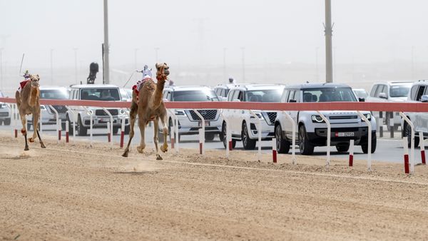 Sheikh Mansour at Camel Race