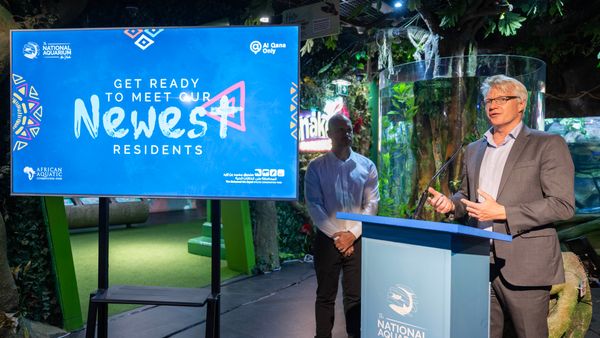 Aquarium and Muhammad Fund Bin Zayed Cooperate for Manatee Conservation