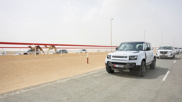 Sheikh Mansour at Camel Race