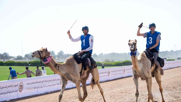 Camel Marathon Merges Heritage at Al Wathba