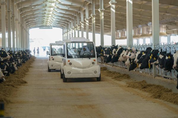Mleiha Dairy Farm Opens in Sharjah