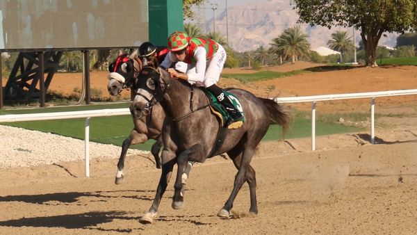 Yas Horses Win Big at Al Ain Finale