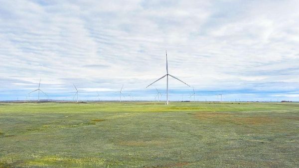 China Fuels Global Green Shift