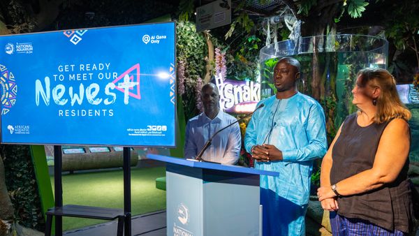 Aquarium and Muhammad Fund Bin Zayed Cooperate for Manatee Conservation