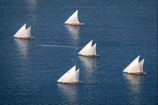 Historic Delma Race Festival begins tomorrow