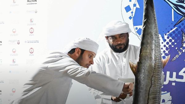 Al Dhafra Kingfish Championship 2024