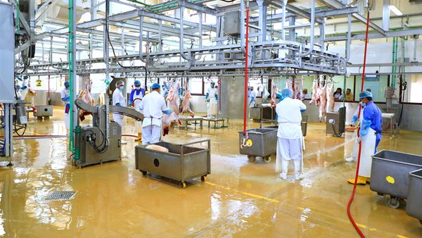 Al Ain Prepares Slaughterhouses for Eid