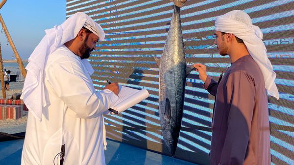 Al Dhafra Kingfish Championship 2024