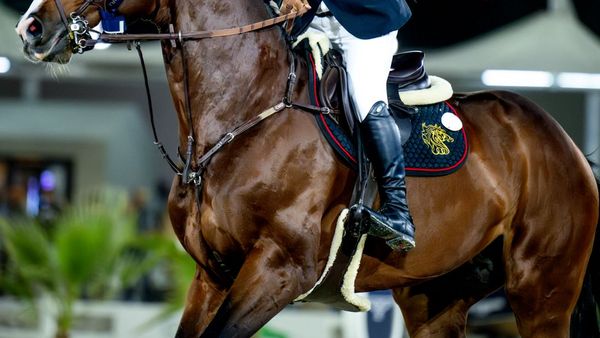 UAE Team Eyes Italy Championship