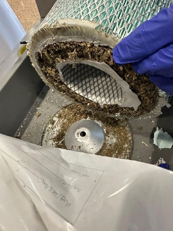 Marijuana Seized at Dubai Airport