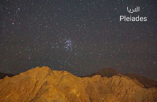 'Pleiades Daughter' Season Begins