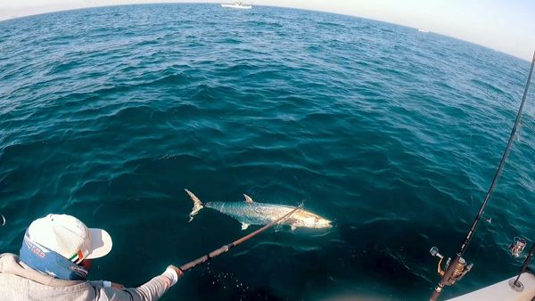 Al Dhafra Kingfishing Finale