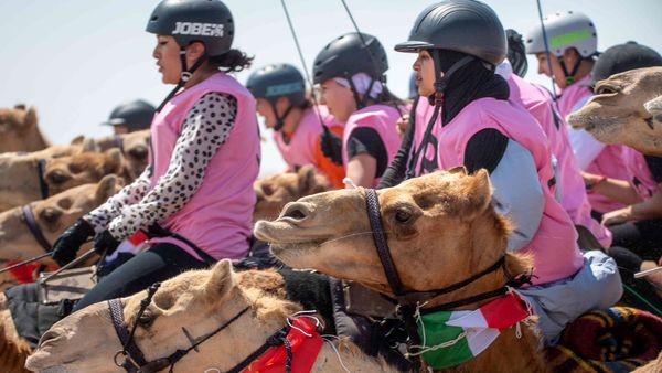 Camel Marathon Merges Heritage at Al Wathba