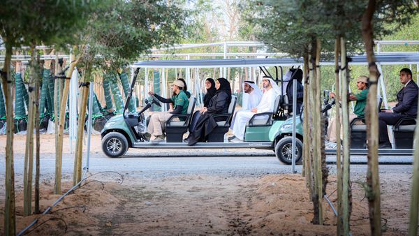 Children as Environmental Protectors