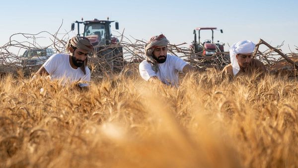 Saba Sanabel Sets Protein Record