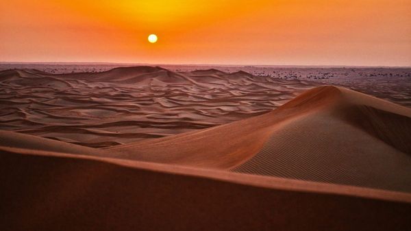 Survive UAE Heatwave  A Guide