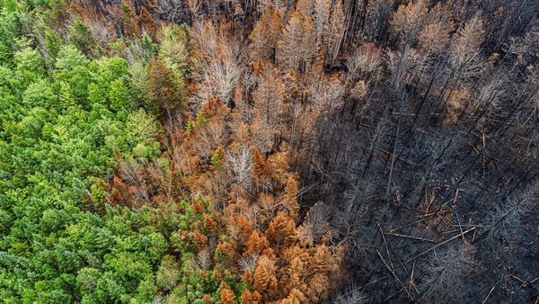 Energy Summit Focuses on COP28, UAE Goals