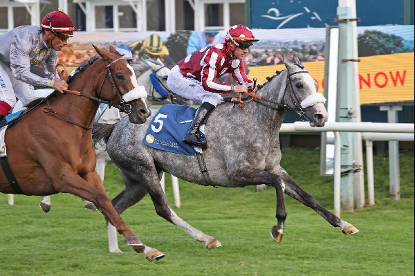 UAE President's Cup 31st Edition Launch