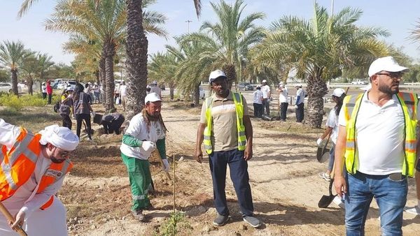 3 000 Ghaf Trees Planted in Abu Dhabi
