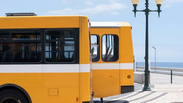 30  Window Tinting Approved for Abu Dhabi Buses