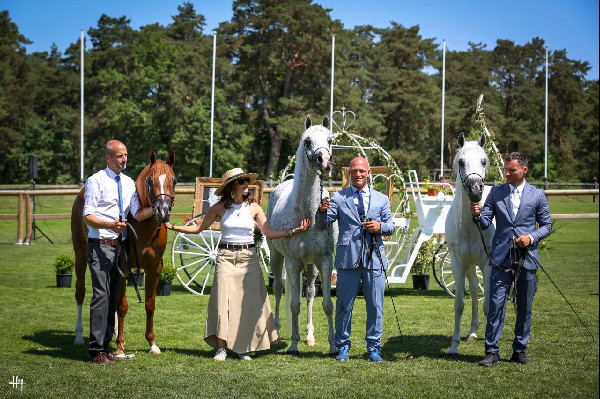 Arabian Horse Cup 2024 Begins in France