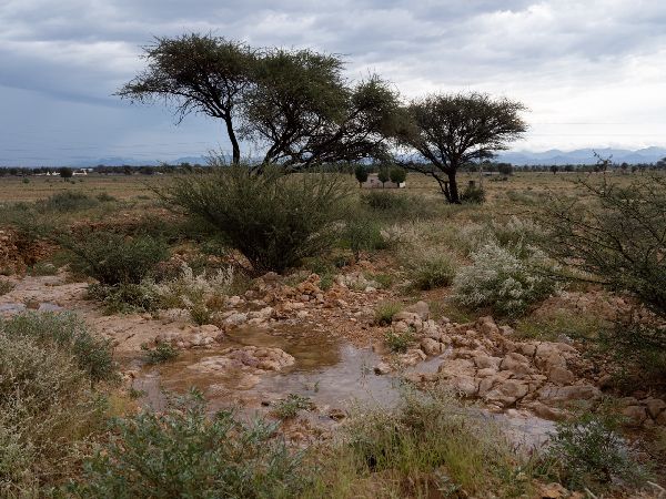 Vision for Mleiha National Park in Sharjah