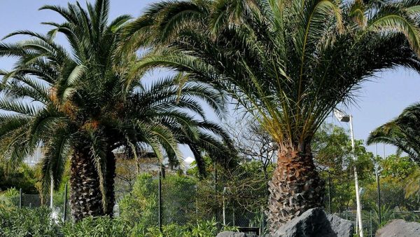 Eco-Friendly Building Patent for Omani Team