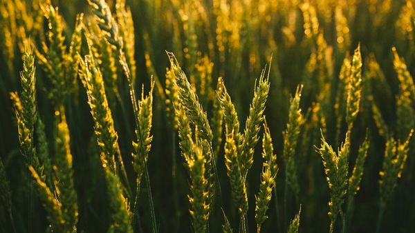 First Global Biosecurity Index Launched