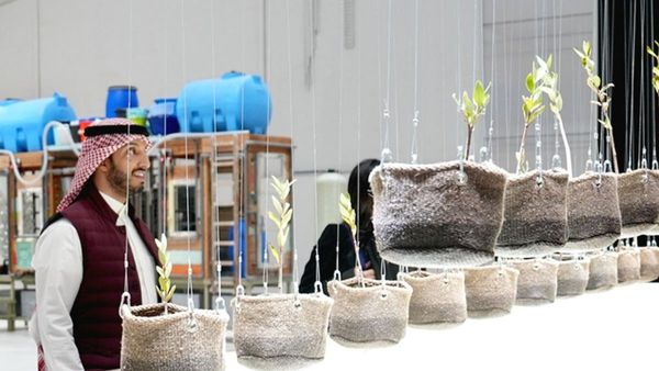 IKEA s Artistic Sustainability at Diriyah