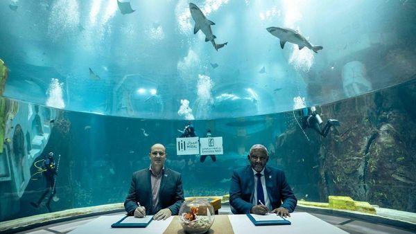 Miral  Emirates NBD Elevate Attractions