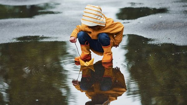 Natural Cures for Post-Rain Ills