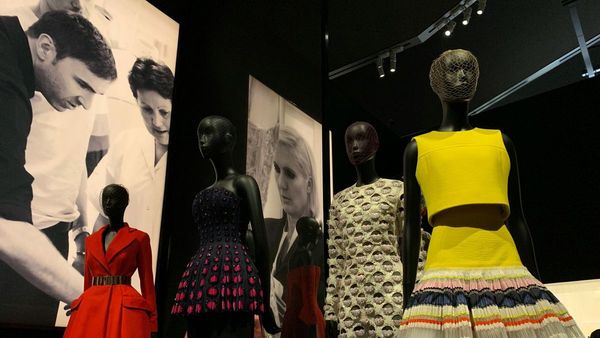 Shop  Emily in Paris  Styles Locally