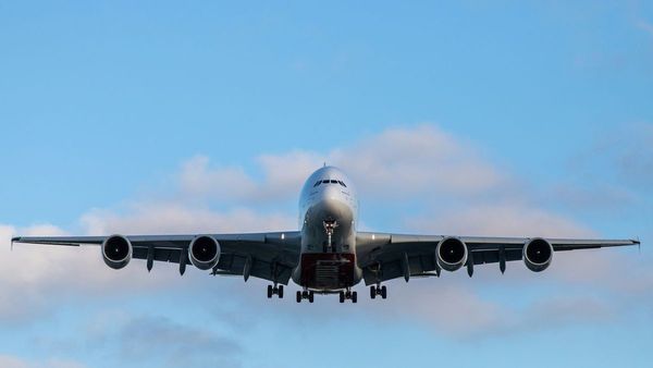 Top Airlines for Gourmet Inflight Dining