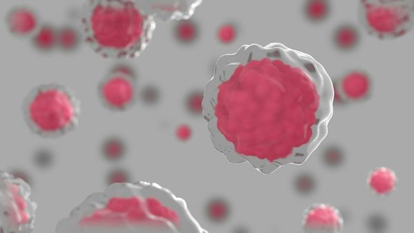 AI Biopsy Detects Cancer Early