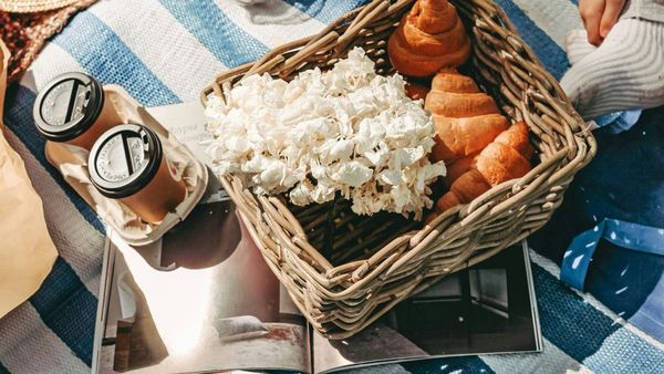 Celebrate Picnic Day June 18