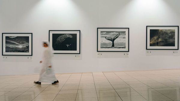 DXB Features Conservation Exhibit