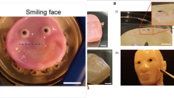 Living Skin for Robots Unveiled