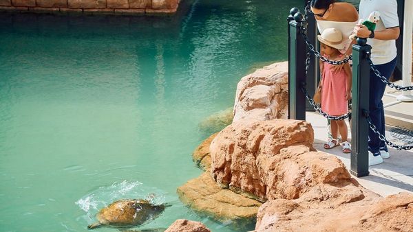 New Conservation-Focused Stay at Jumeirah