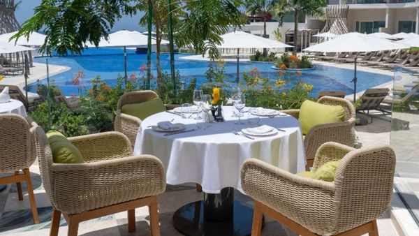 Novikov Caf   Opens in Muscat