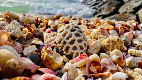 Top 13 Ajman Attractions