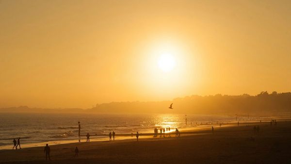UAE Celebrates Longest Summer Day UAE Celebrates Longest Summer Day