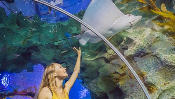 UAE Ranks 6th in Global Tourism Earnings