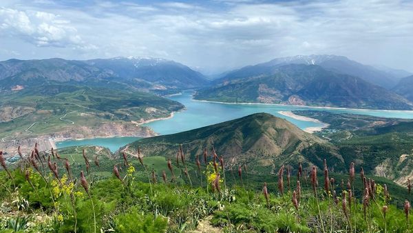 ACWA Power s New Solar Project in Uzbekistan