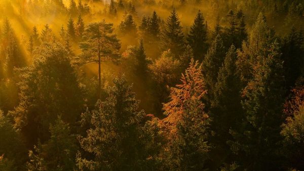 Google s Report Skips AI Energy Cost