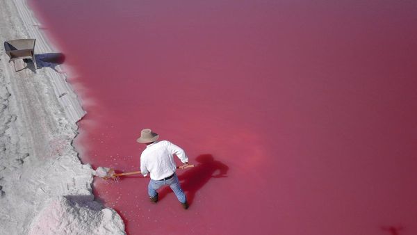 Gourmet Sea Salt Captivates Middle East
