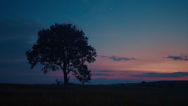 Kuwait s July Sky Full of Wonders