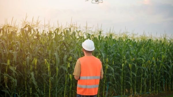 Leshy         Rostec