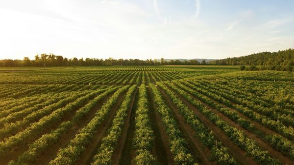 Permaculture Enhances Eco-Sustainability