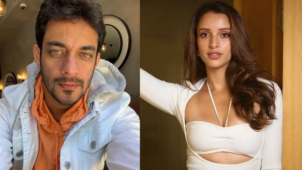 Triptii Dimri Praised by Rumored BF Triptii Dimri Praised by Rumored BF